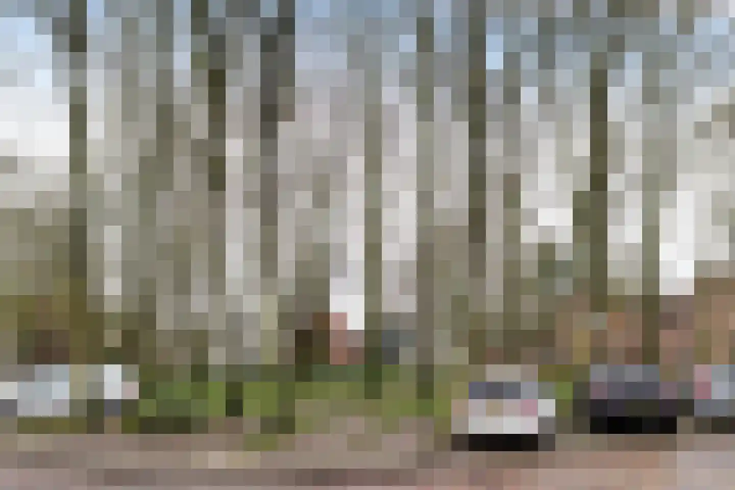 Brinkstraat 6 A Zuidlaren thumbnail 52