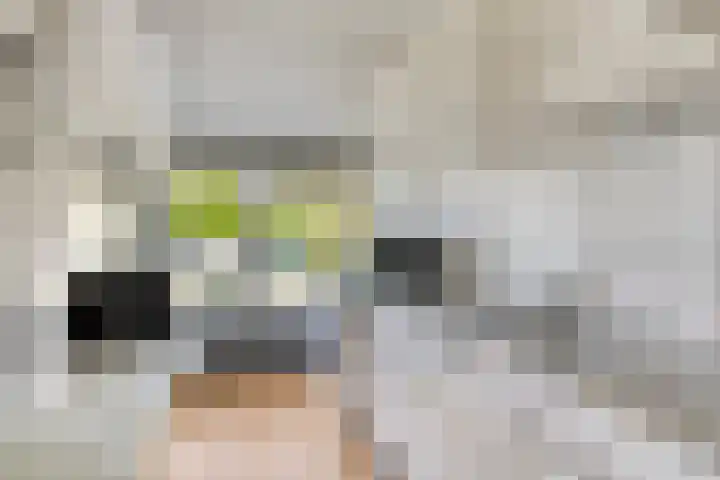 Brinkstraat 6 Rolde thumbnail 10
