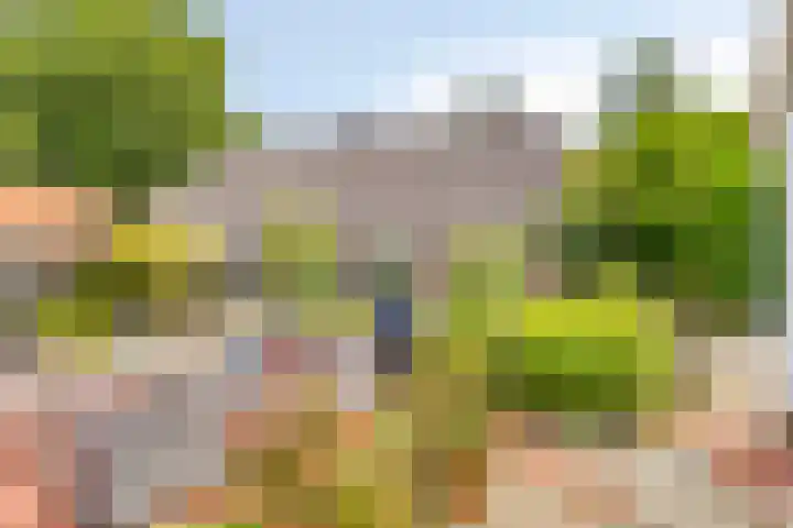 Brinkstraat 6 Rolde thumbnail 30