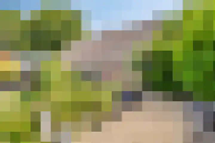 Brinkstraat 6 Rolde thumbnail 36
