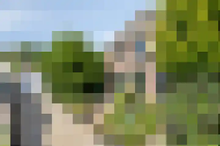 Brinkstraat 6 Rolde thumbnail 37