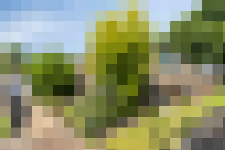 Brinkstraat 6 Rolde thumbnail 38