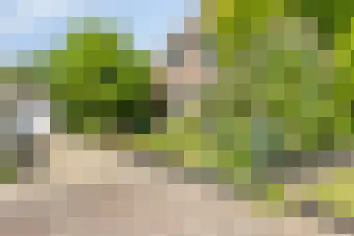 Brinkstraat 6 Rolde thumbnail 39