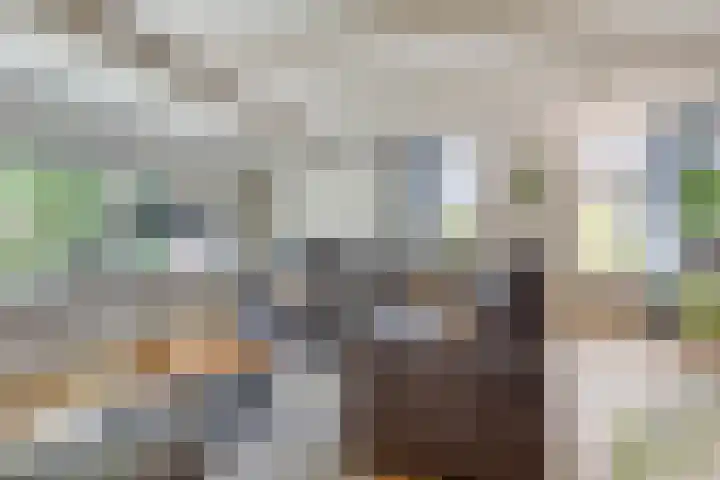 Brinkstraat 6 Rolde thumbnail 4