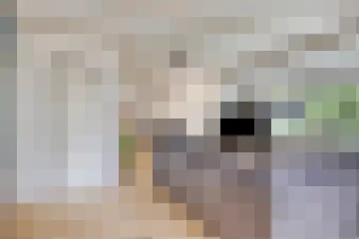 Brinkstraat 6 Rolde thumbnail 7