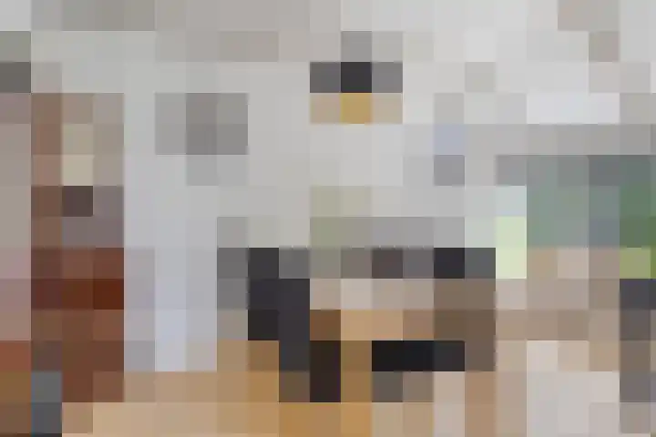 Brinkstraat 6 Rolde thumbnail 9