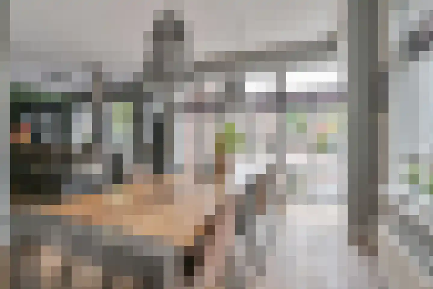 Brinkstraat 7 Hoogeveen thumbnail 22