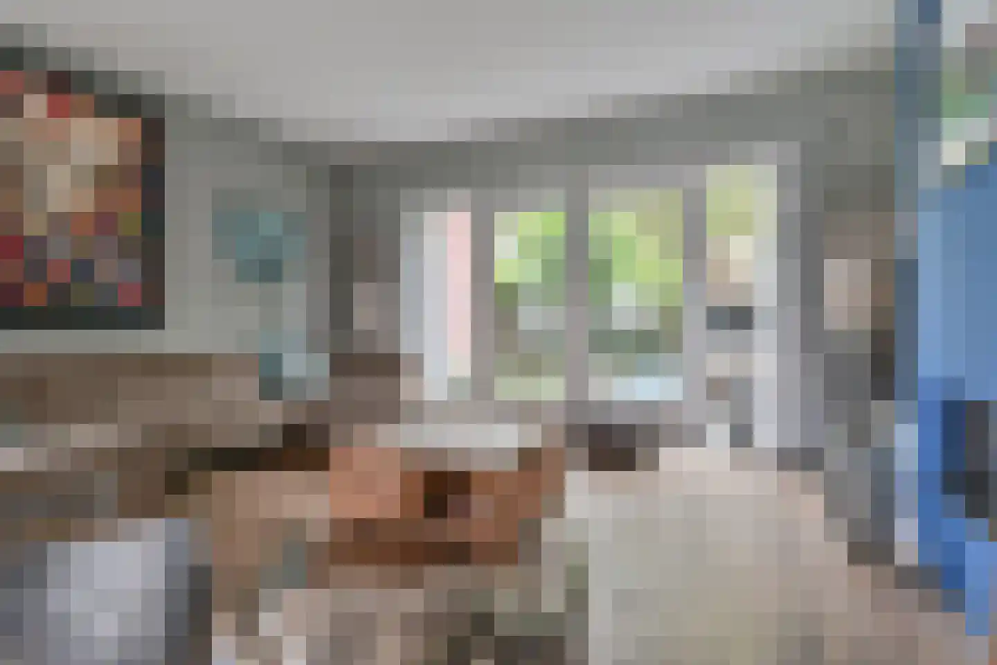 Brinkstraat 7 Hoogeveen thumbnail 31