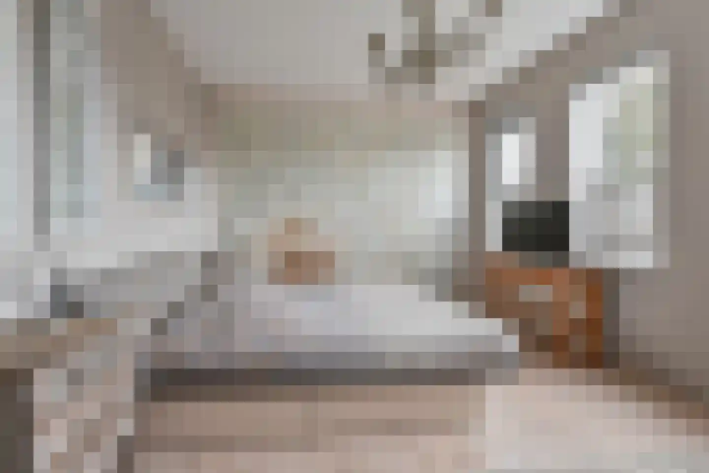 Brinkstraat 7 Hoogeveen thumbnail 43