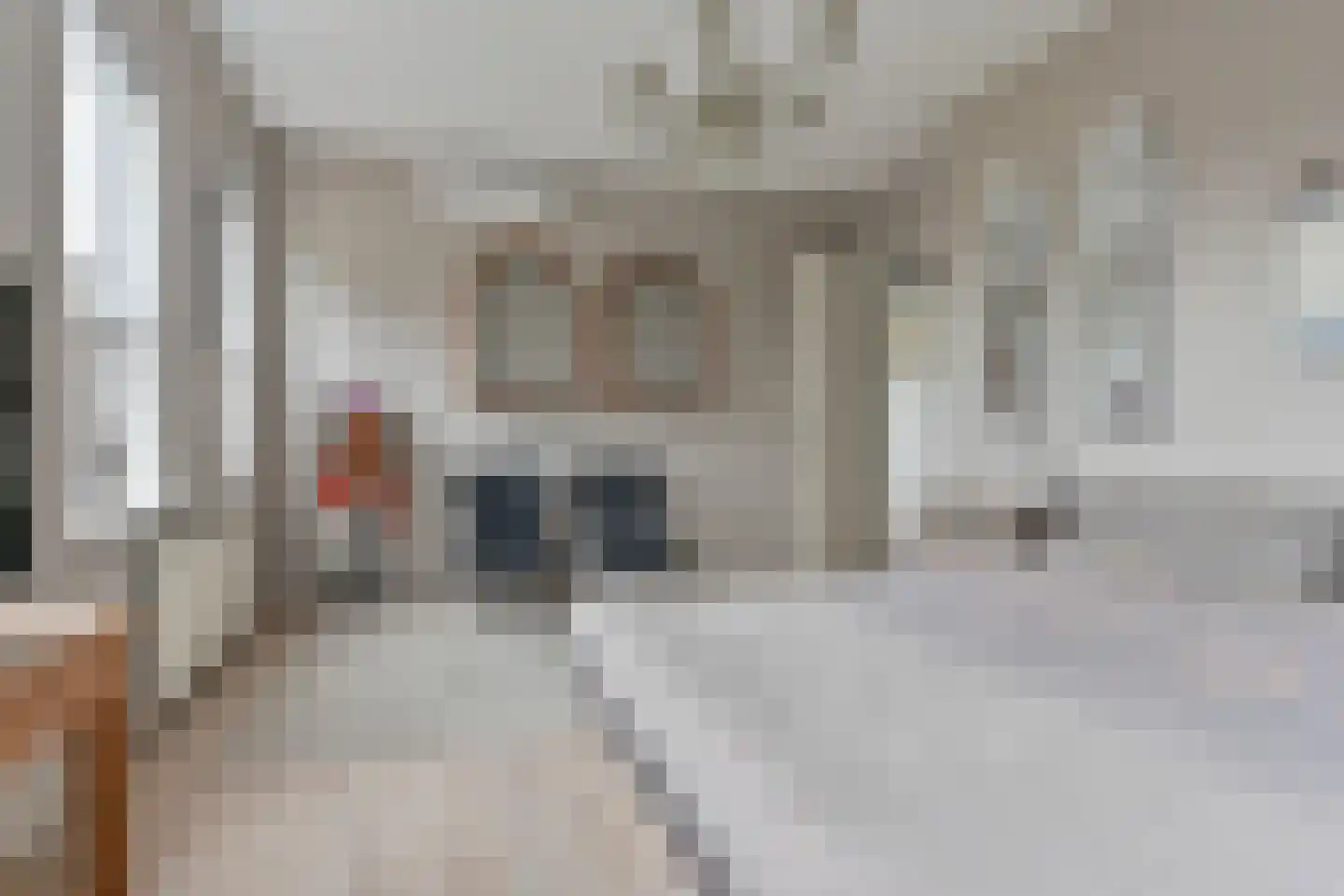 Brinkstraat 7 Hoogeveen thumbnail 46