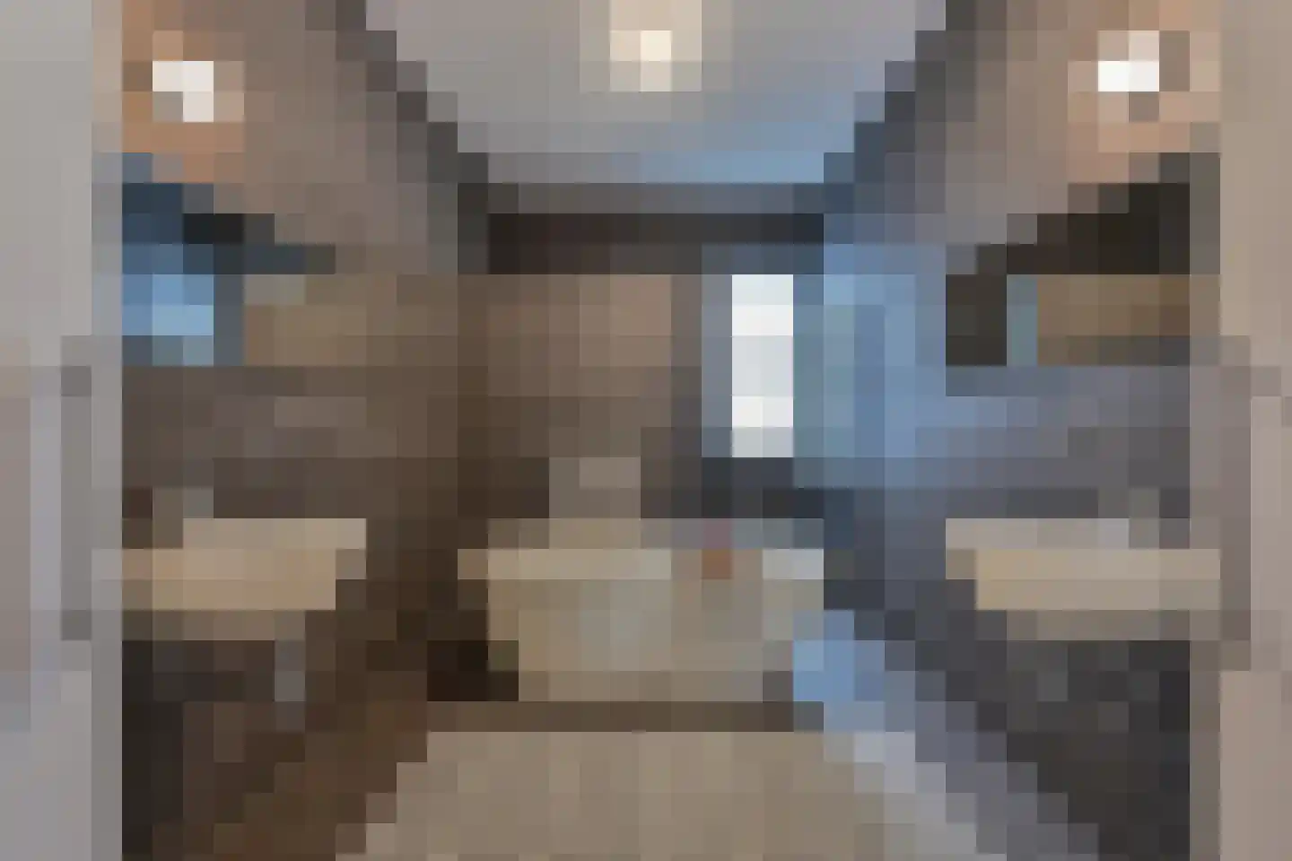 Brinkstraat 7 Hoogeveen thumbnail 49