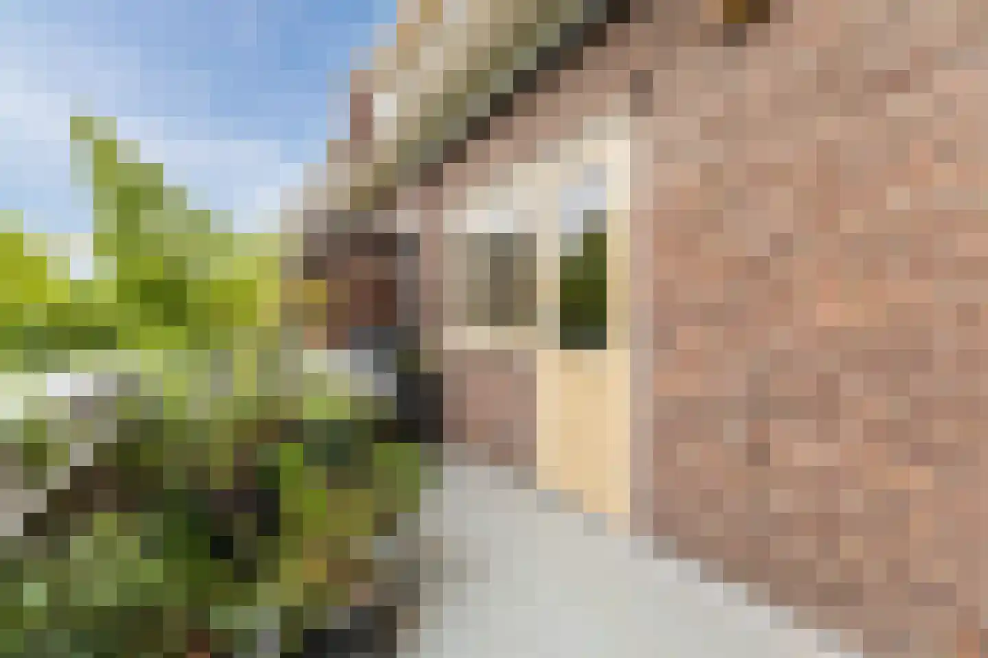 Brinkstraat 79 Amsterdam thumbnail 23