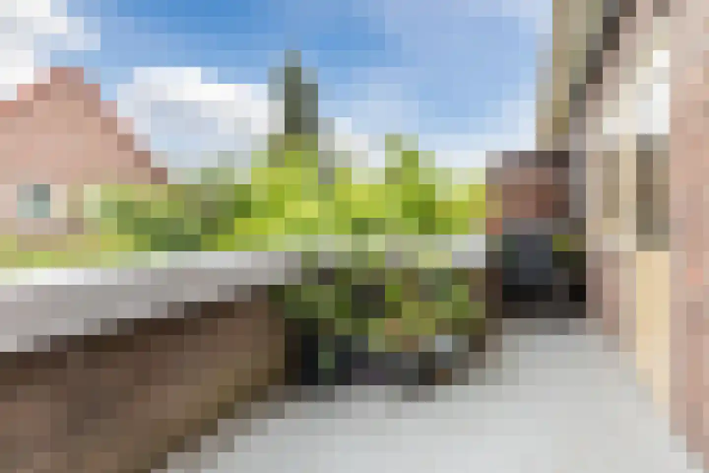 Brinkstraat 79 Amsterdam thumbnail 4