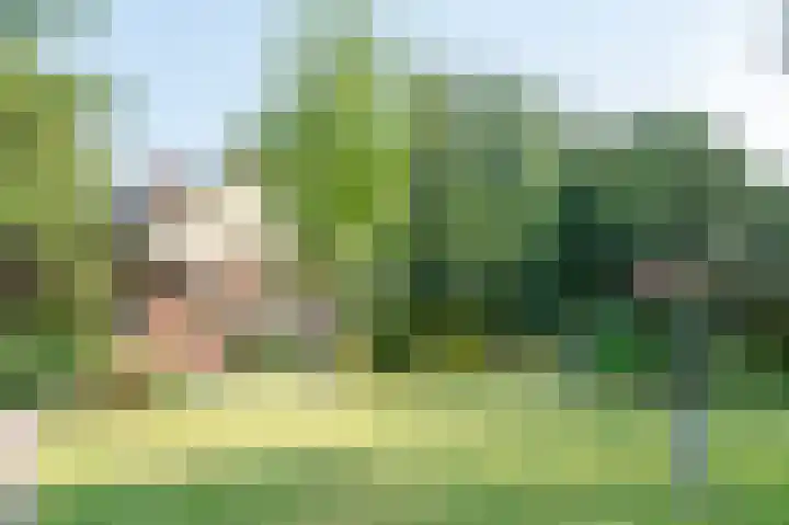 Brinkstraat 80 Putten thumbnail 33