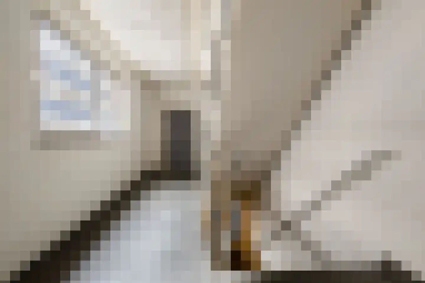Brinkstraat 9 Assen thumbnail 15