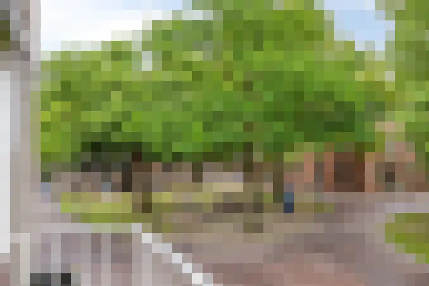 Brinkstraat 9 Assen thumbnail 30