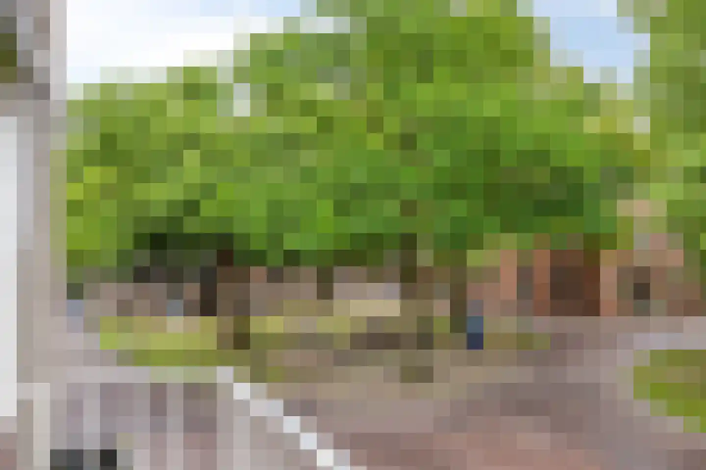 Brinkstraat 9 Assen thumbnail 5