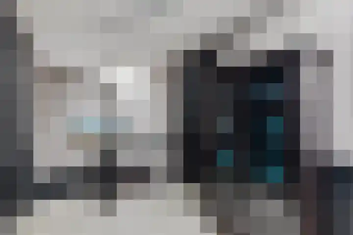 Brinkstraat 9 Borne thumbnail 13