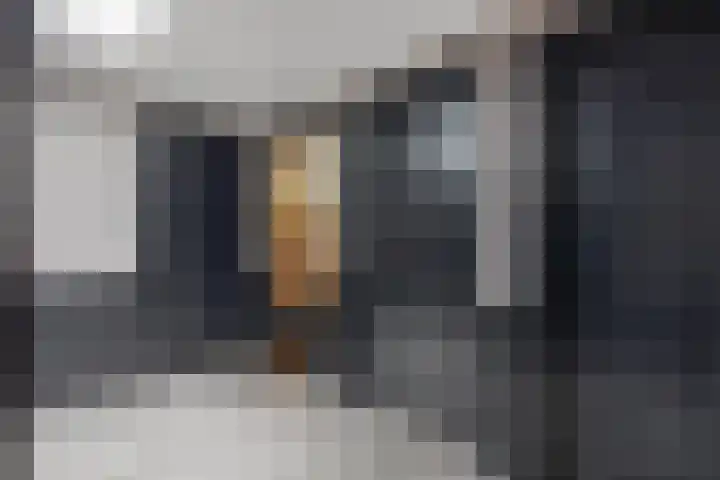 Brinkstraat 9 Borne thumbnail 14