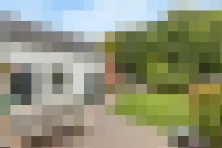 Brinkstraat 9 Borne thumbnail 23
