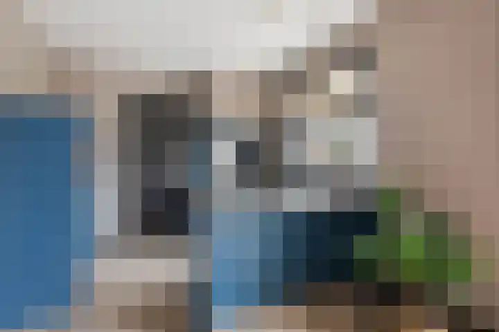 Brinkstraat 9 Borne thumbnail 8
