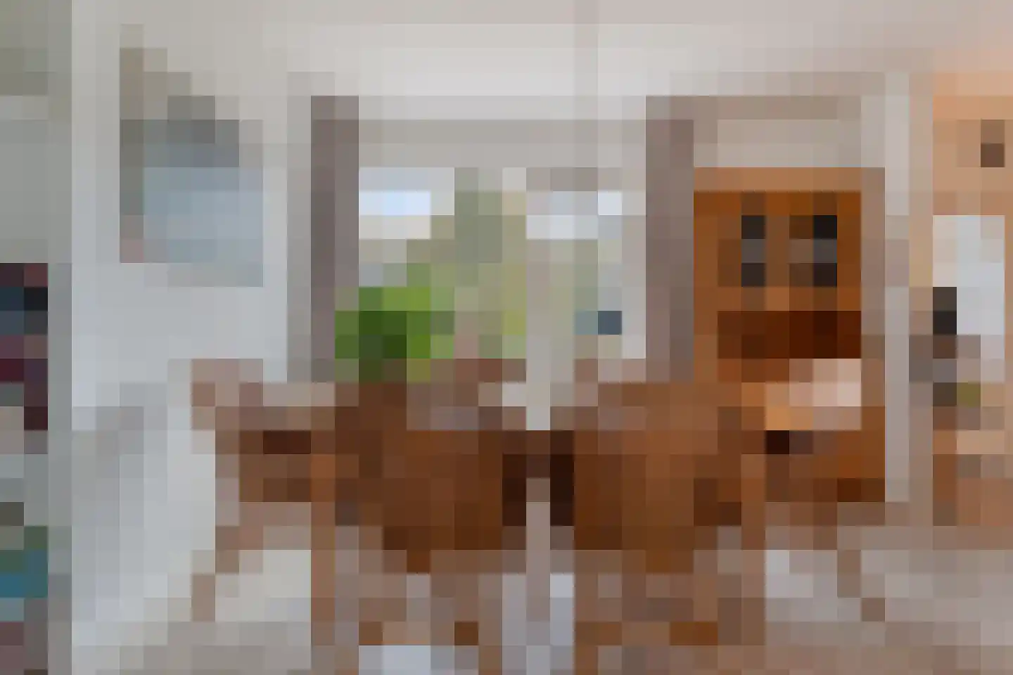 Brinkweg 10 Dalen thumbnail 17