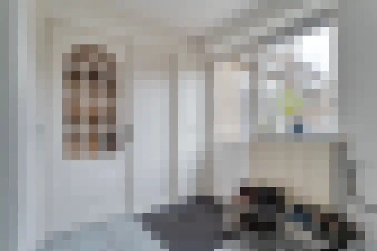 Brinkweg 10 Dalen thumbnail 23