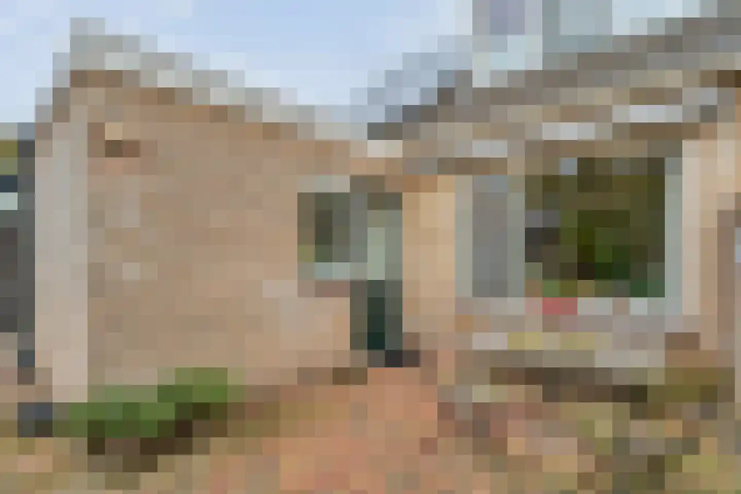 Brinkweg 10 Dalen thumbnail 39