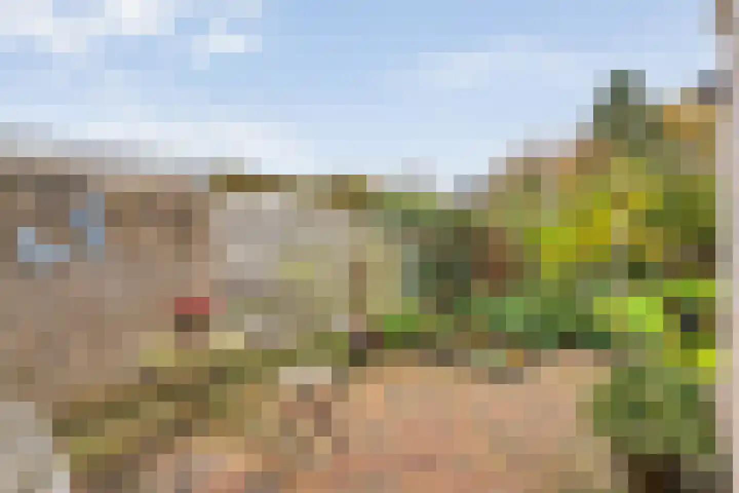 Brinkweg 10 Dalen thumbnail 40