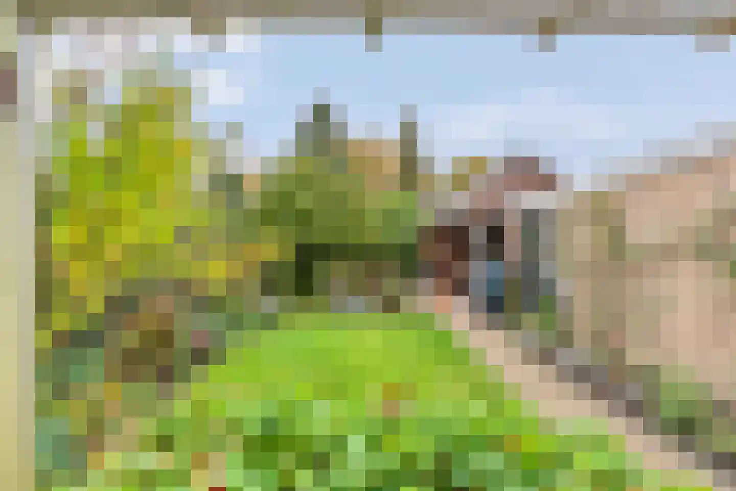 Brinkweg 10 Dalen thumbnail 42