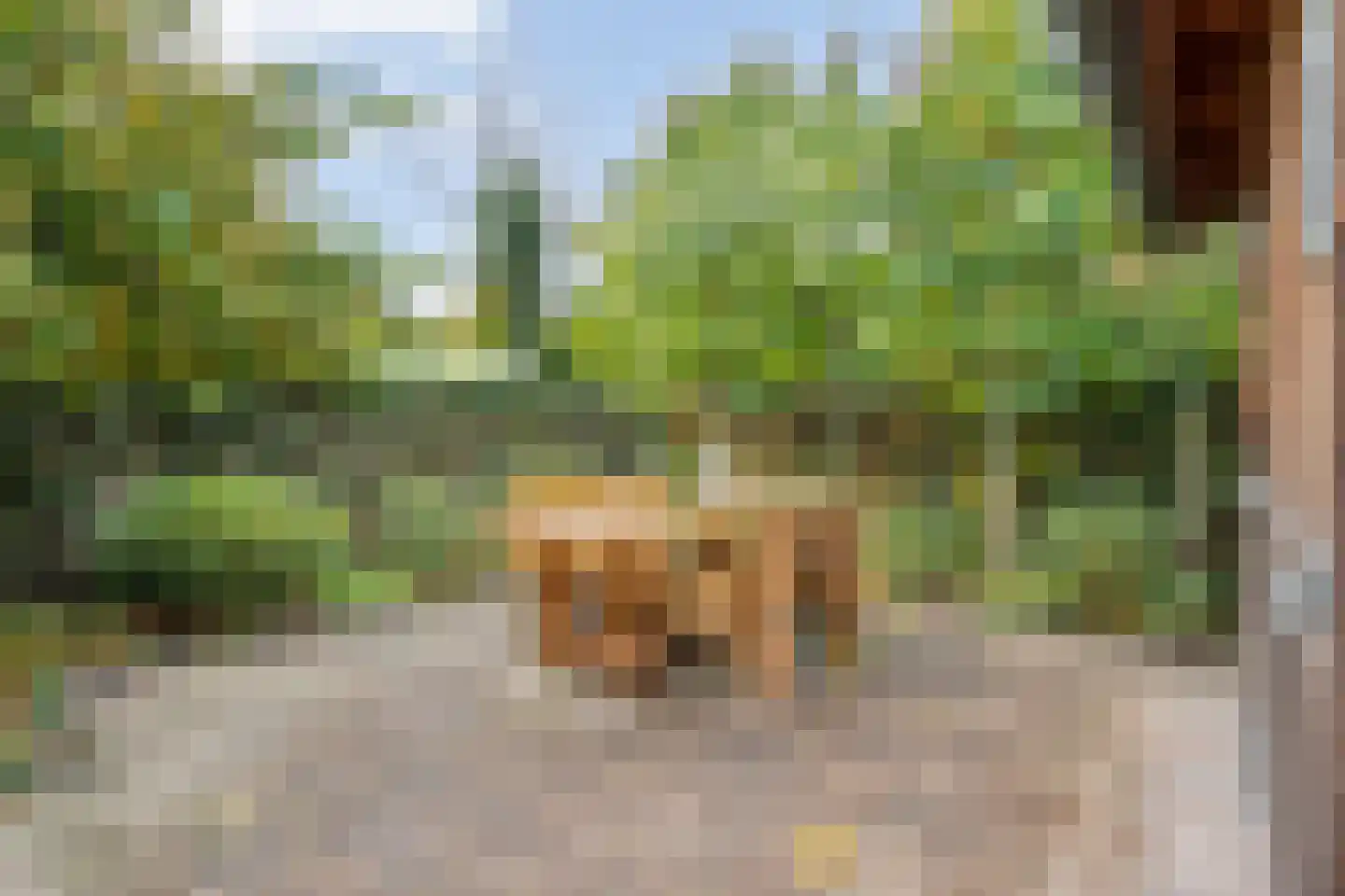 Brinkweg 10 Dalen thumbnail 48