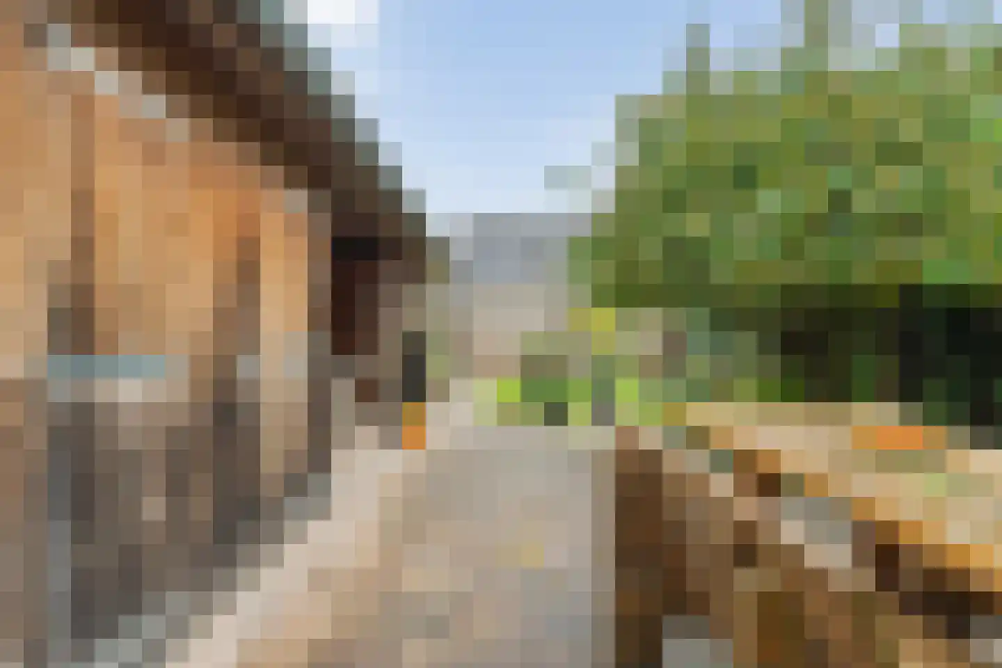Brinkweg 10 Dalen thumbnail 49