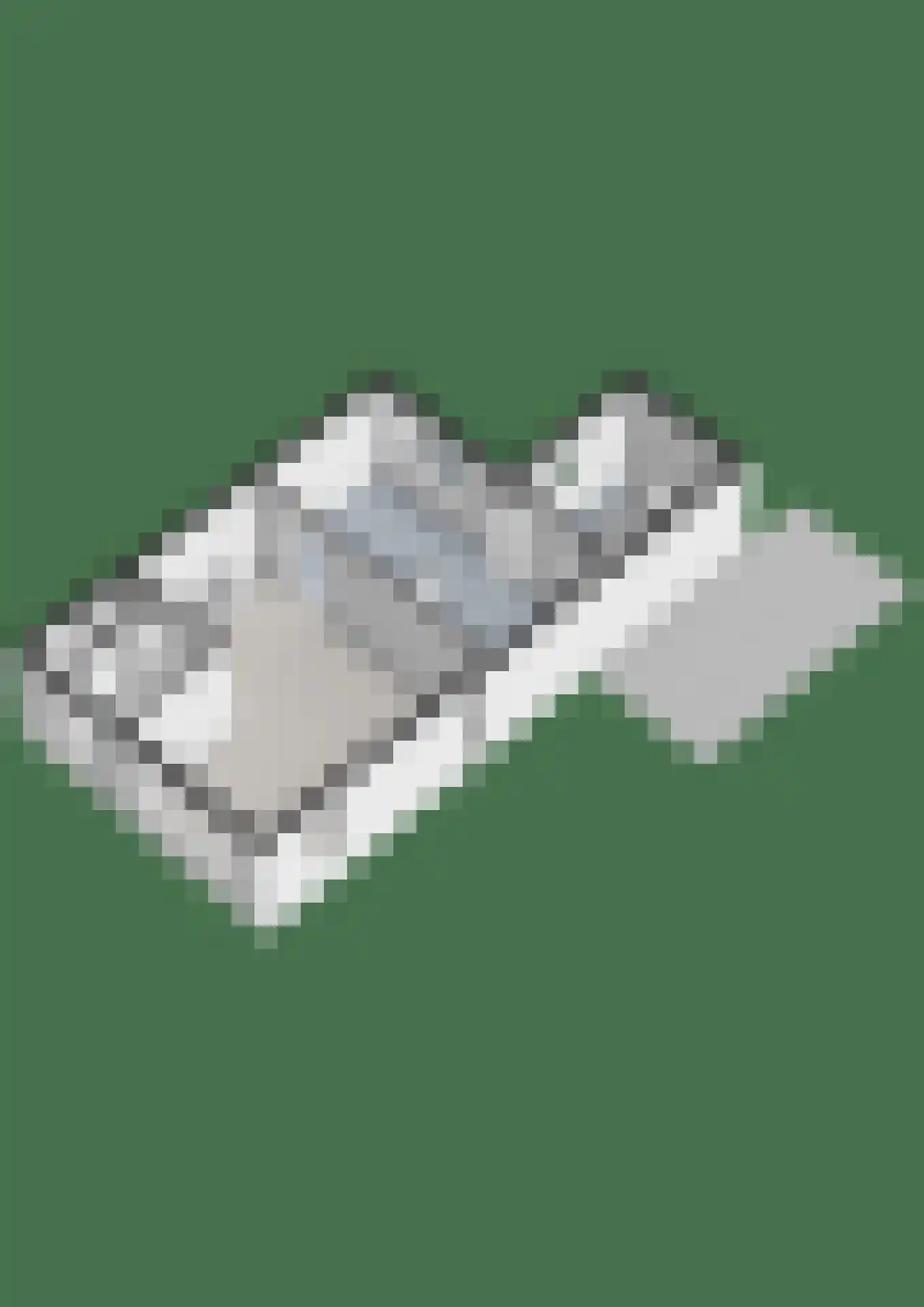 Brinkweg 10 Dalen thumbnail 52