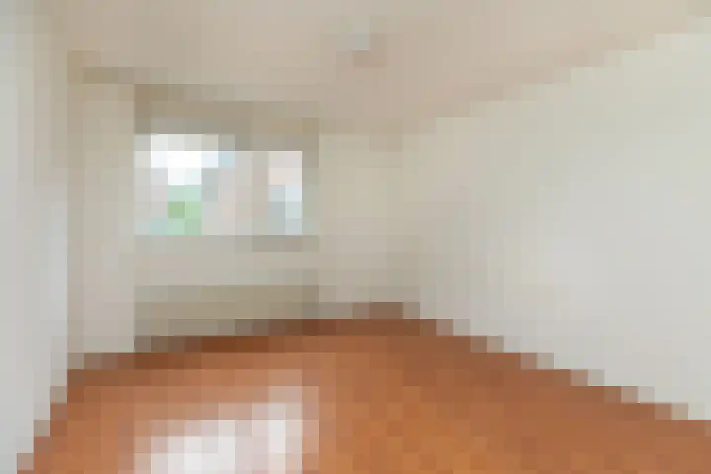 Brinkweg 12 F Hilversum thumbnail 10