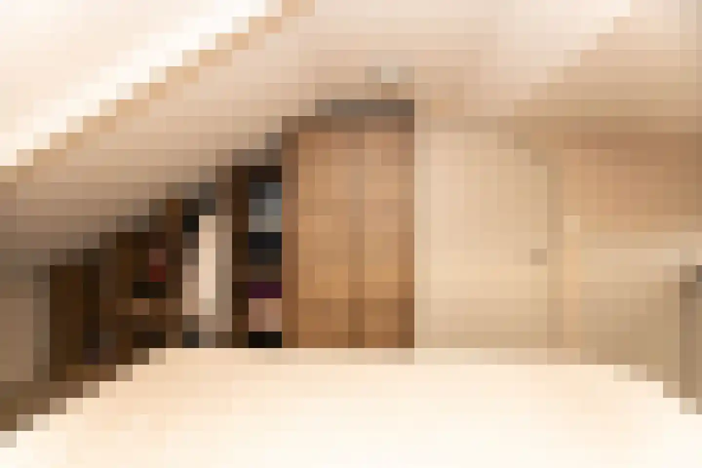 Brinkweg 12 Wieringerwerf thumbnail 32