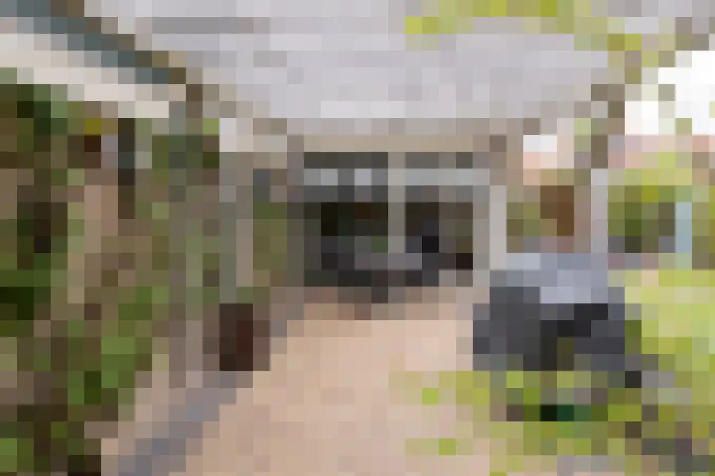 Brinkweg 12 Wieringerwerf thumbnail 34