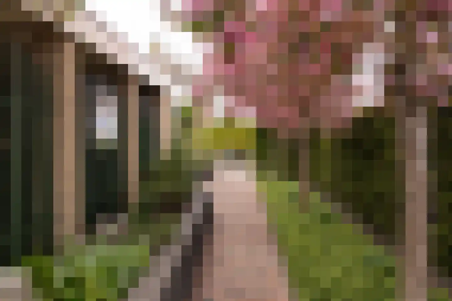 Brinkweg 12 Wieringerwerf thumbnail 38