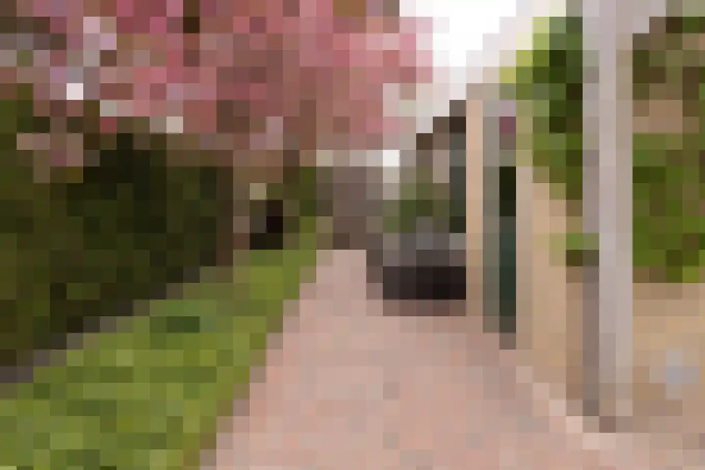 Brinkweg 12 Wieringerwerf thumbnail 39