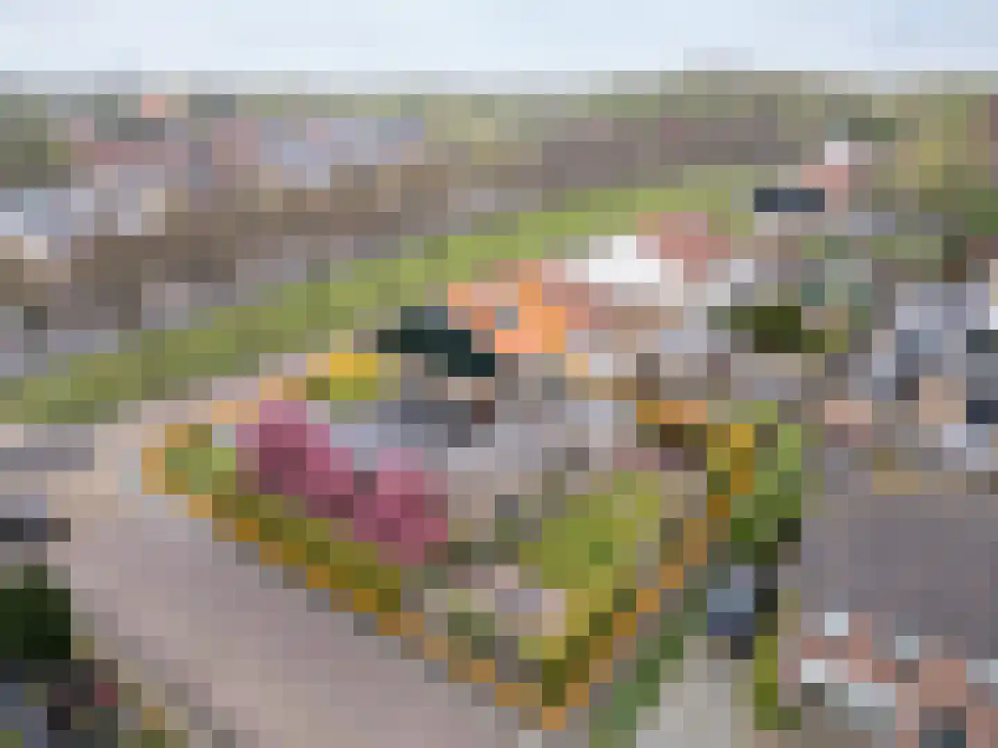 Brinkweg 12 Wieringerwerf thumbnail 40