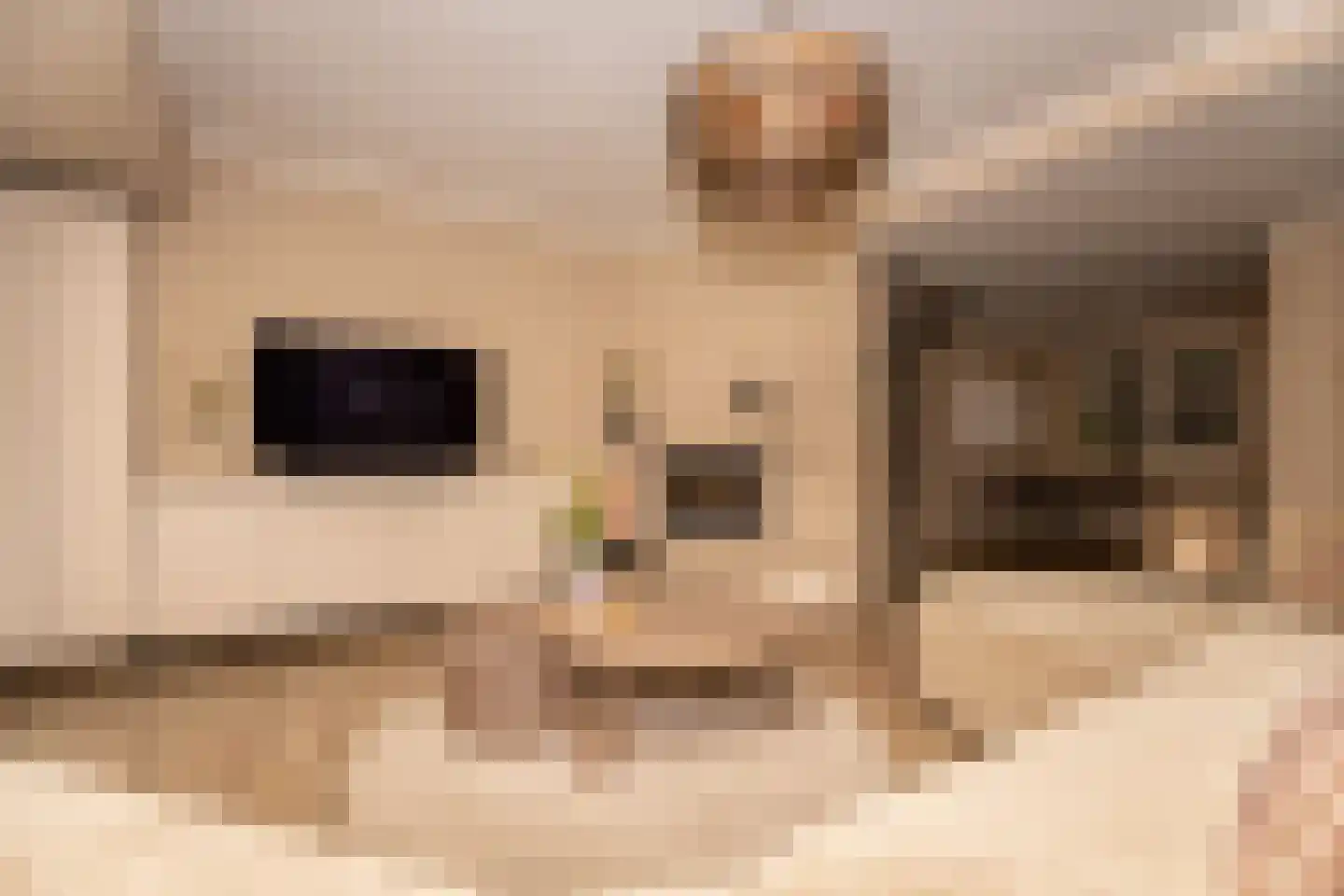 Brinkweg 12 Wieringerwerf thumbnail 6