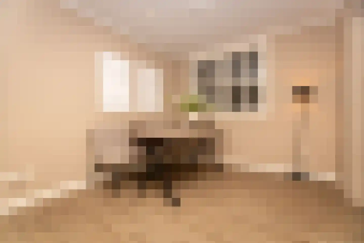 Brinkweg 12 Wieringerwerf thumbnail 8