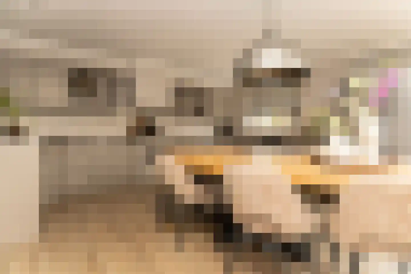Brinkweg 12 Wieringerwerf thumbnail 9