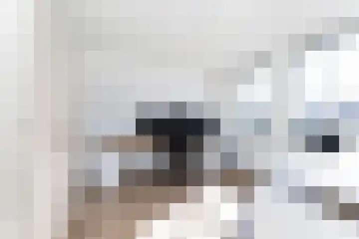 Brinkweg 13 G Zalk thumbnail 18