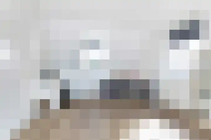 Brinkweg 13 G Zalk thumbnail 26