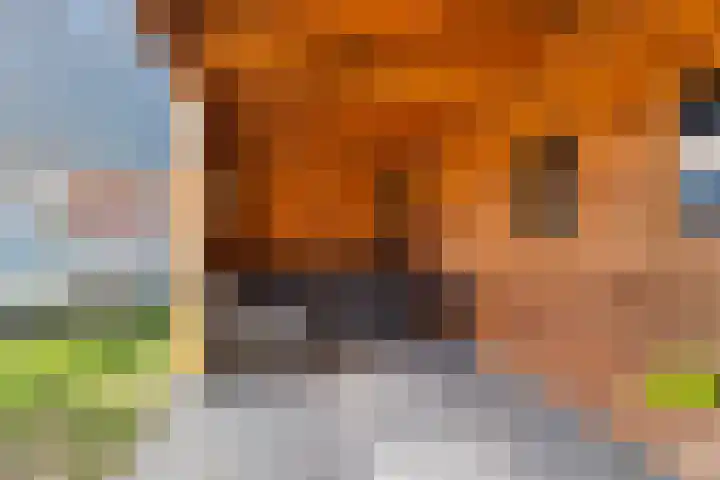 Brinkweg 13 G Zalk thumbnail 28