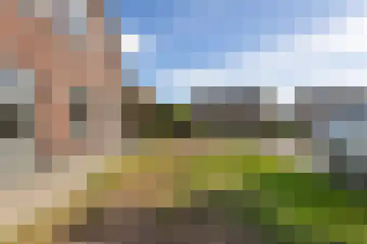 Brinkweg 13 G Zalk thumbnail 29