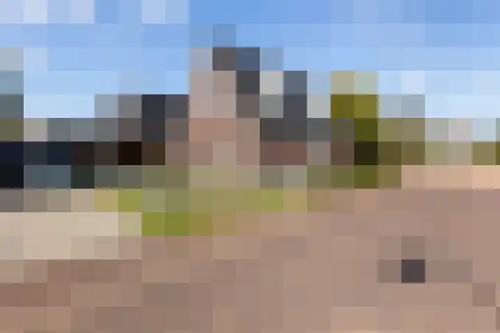 Brinkweg 13 G Zalk thumbnail 30
