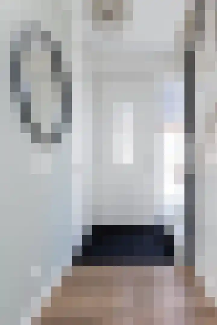 Brinkweg 13 G Zalk thumbnail 6