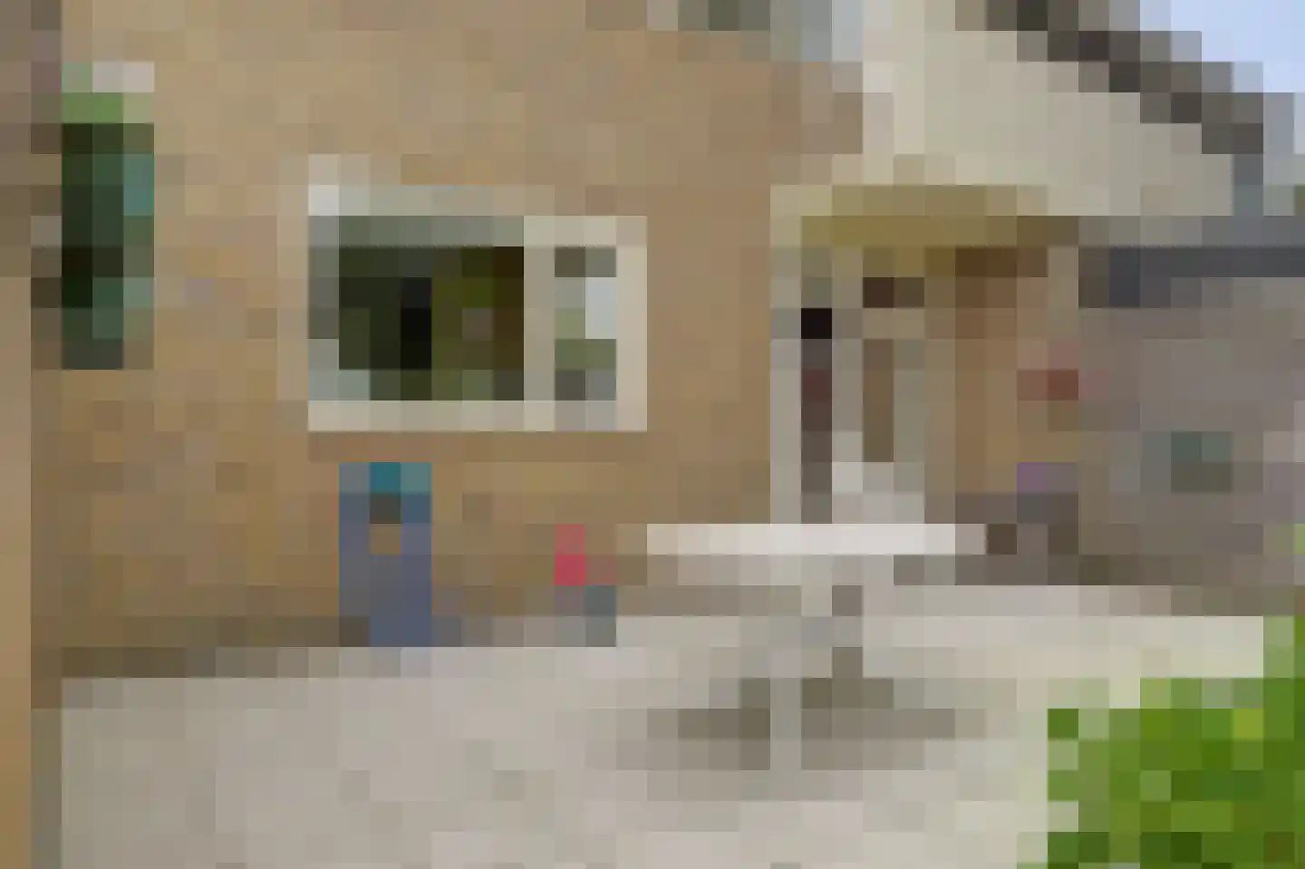 Brinkweg 20 Wieringerwerf thumbnail 29