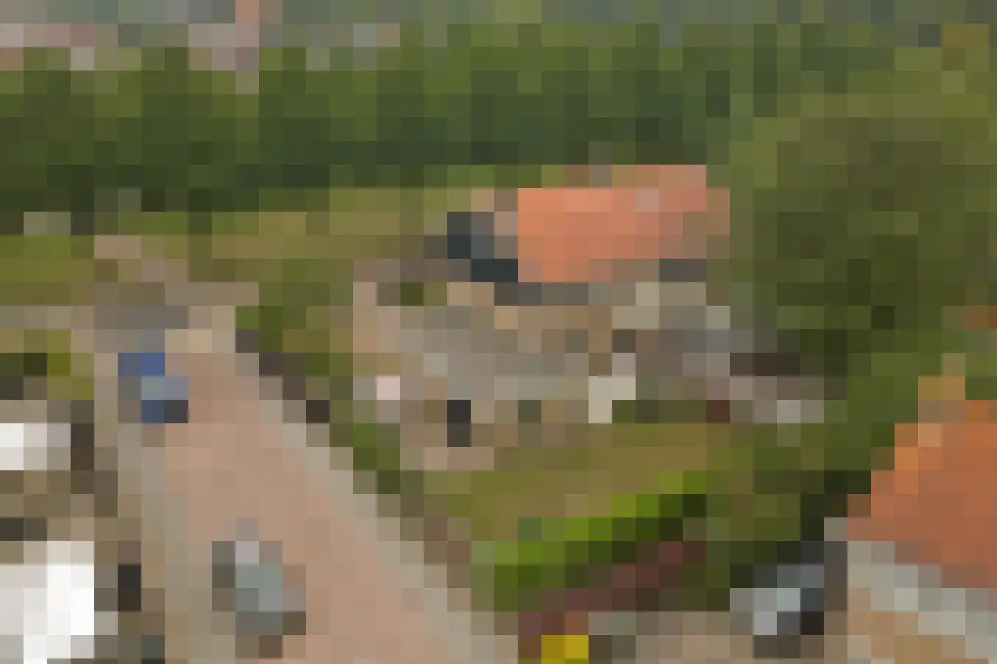 Brinkweg 20 Wieringerwerf thumbnail 34
